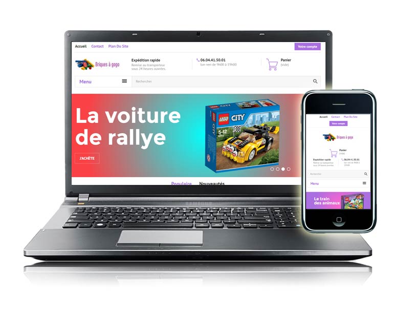 Site ecommerce prestashop briques à gogo